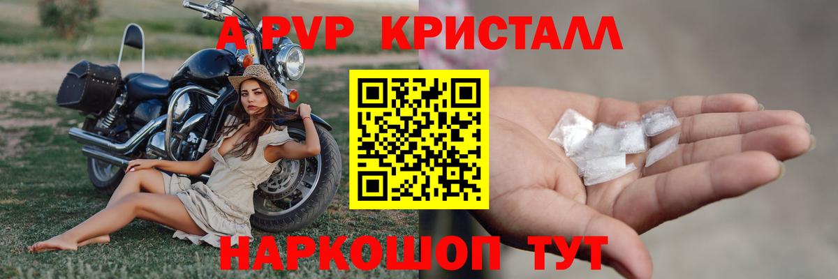 A PVP СК КРИС Нефтекумск