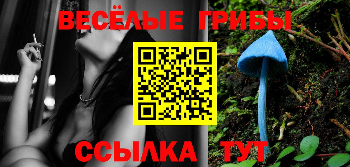 Псилоцибиновые грибы Magic Shrooms Нефтекумск